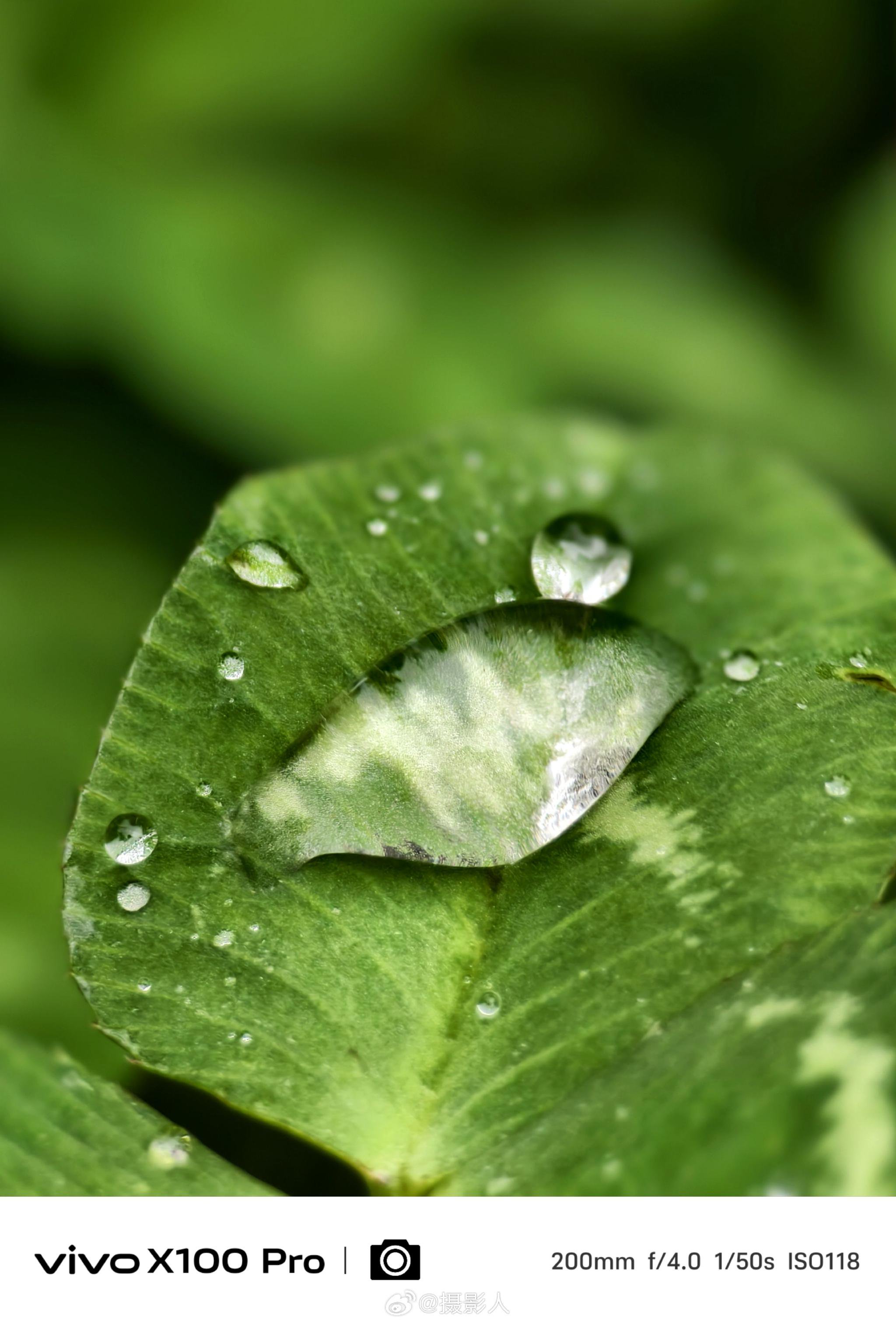 春雨贵如油!你那里下雨了吗?