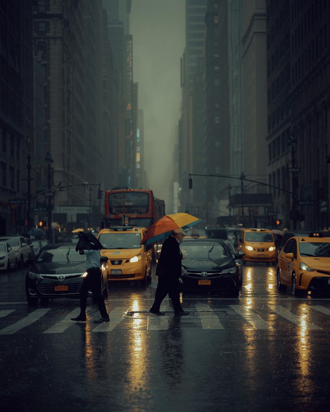 雨天的城市 | paola m franqui