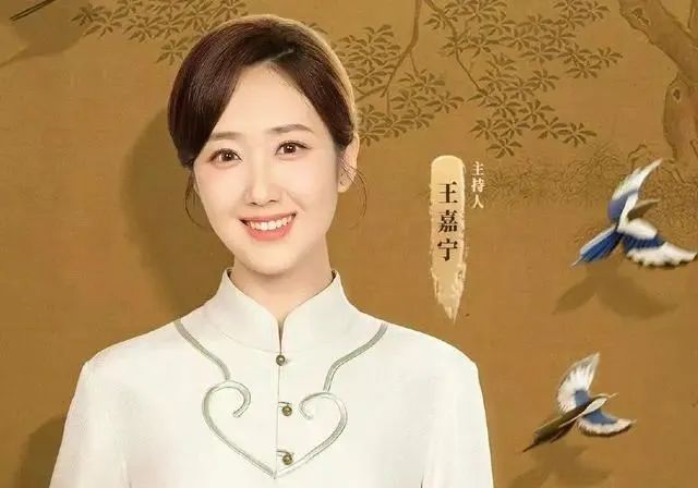 王嘉宁首登春晚获认可!被誉为撒贝宁接班人,人生像坐火箭一样开挂|央视|王嘉宁|撒贝宁_新浪新闻