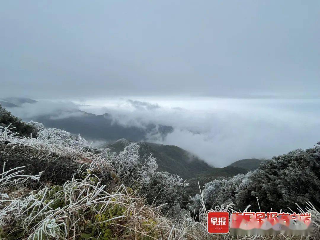 南宁迎来下半年最冷天气大明山雾凇到货了