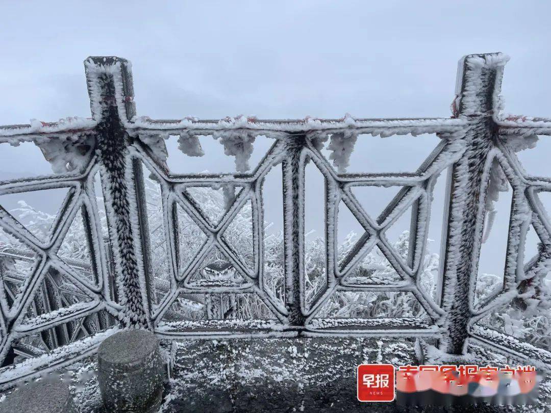 南宁迎来下半年最冷天气大明山雾凇到货了