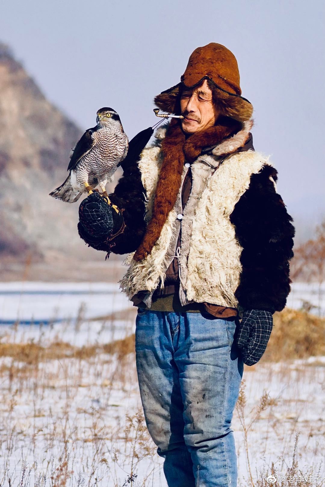 3/ 6正在消逝的训鹰把头 @长春情报站 @随手拍长