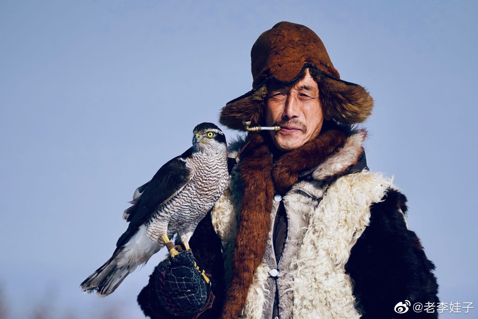 正在消逝的训鹰把头长春情报站随手拍长春