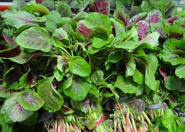 许多人都不知道|苋菜|臭豆腐|菜叶_新浪新闻