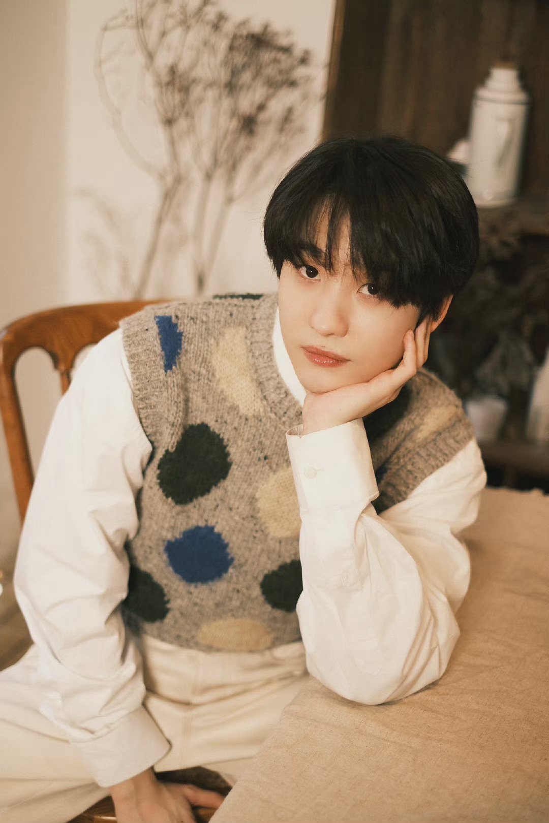 连淮伟工作室分享初春午后日常碎片 初春的午后,阳光正好……_高清