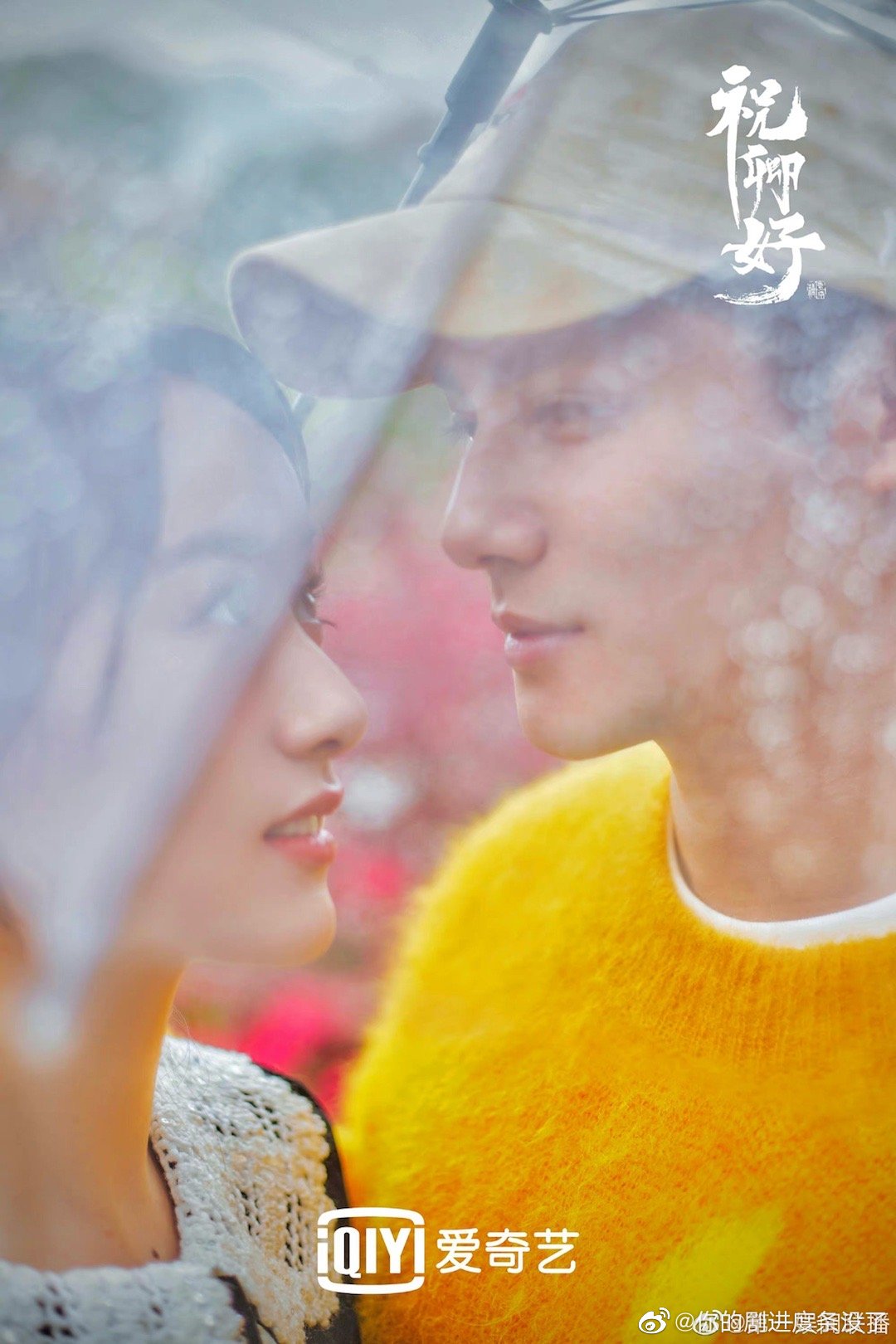袁冰妍郑业成春日氛围感写真 祝卿好主角在线发糖……__财经头条