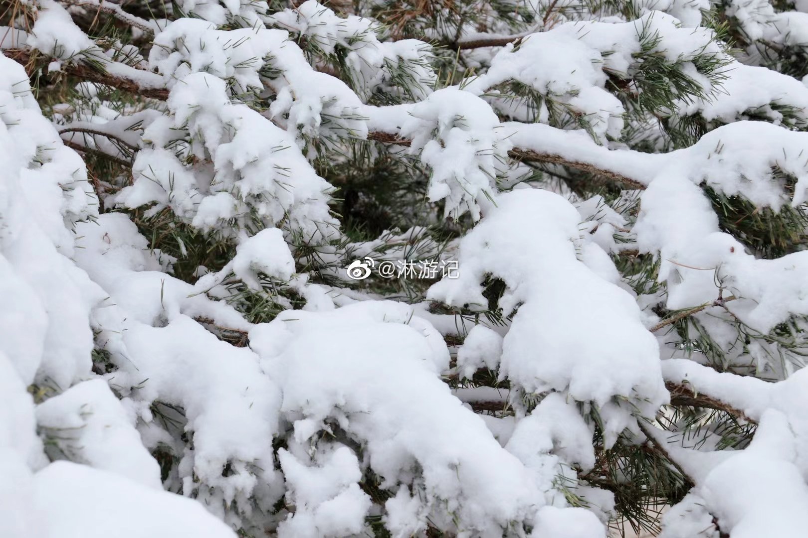 瑞雪兆丰年 ️ ️ 武威古浪下雪啦~~~__财经头条