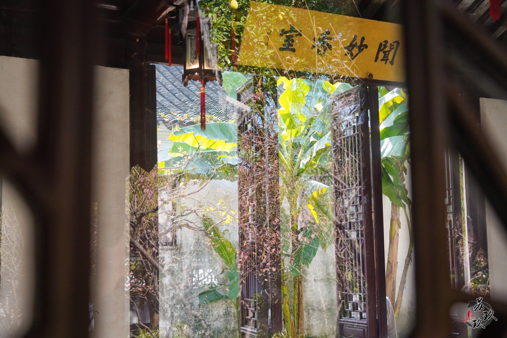 苏州·沧浪亭|苏州市|江南_新浪新闻