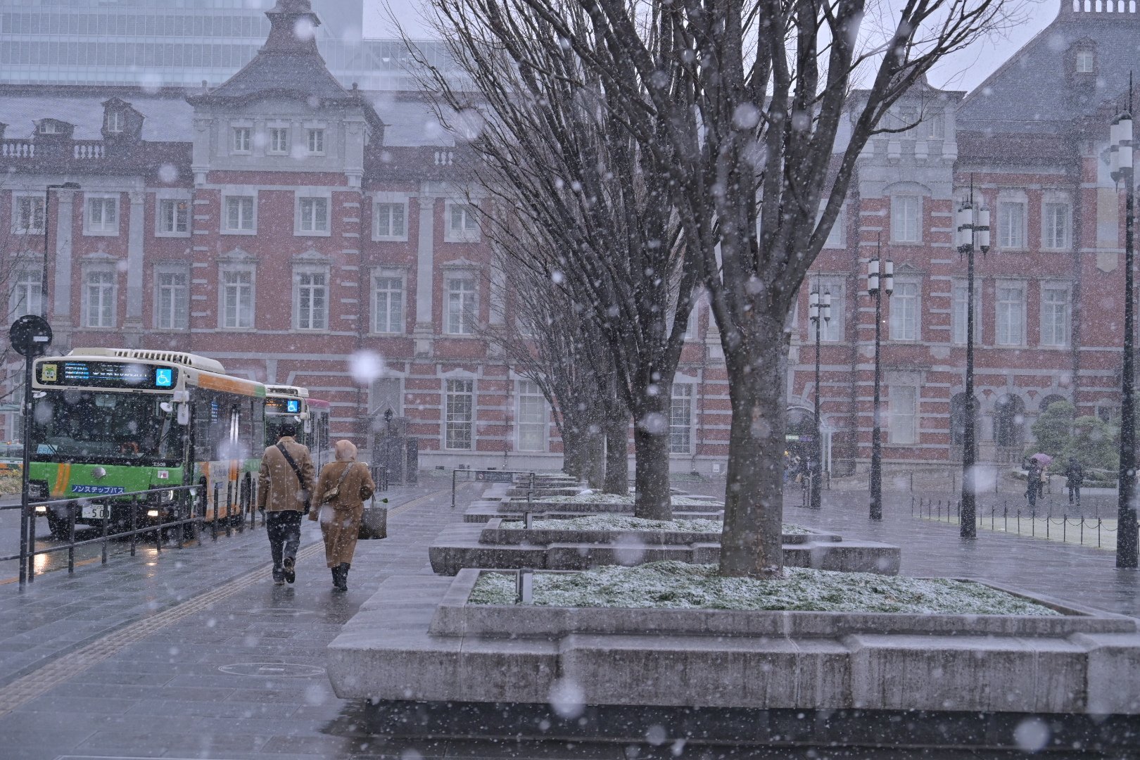 今天东京下雪啦