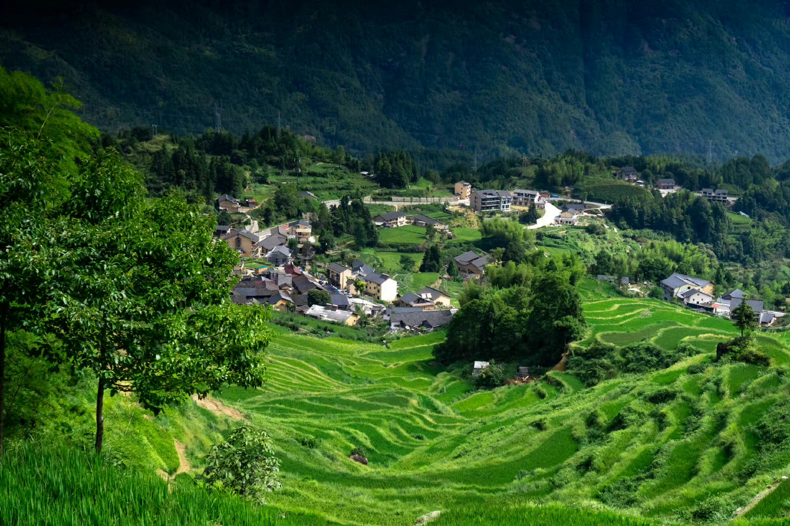 丽水上门茶500元3小时