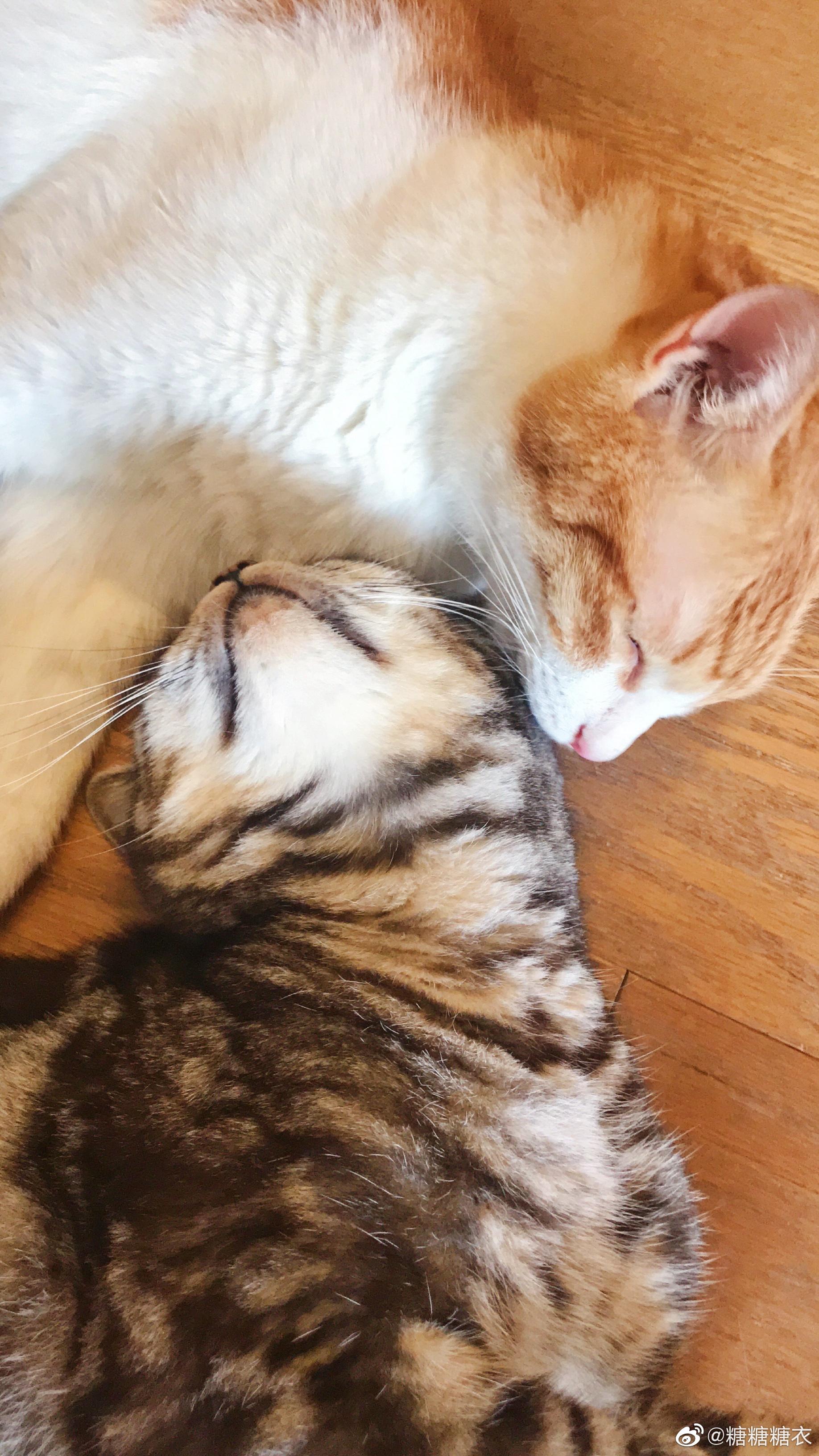 腻腻歪歪两兄弟～93_高清图集_新浪网