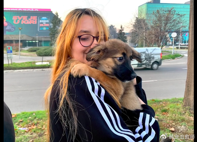 女子当着狗妈妈的面，将一箱子的小狗遗弃了，它们个个胖乎乎的！休闲区蓝鸢梦想 - Www.slyday.coM