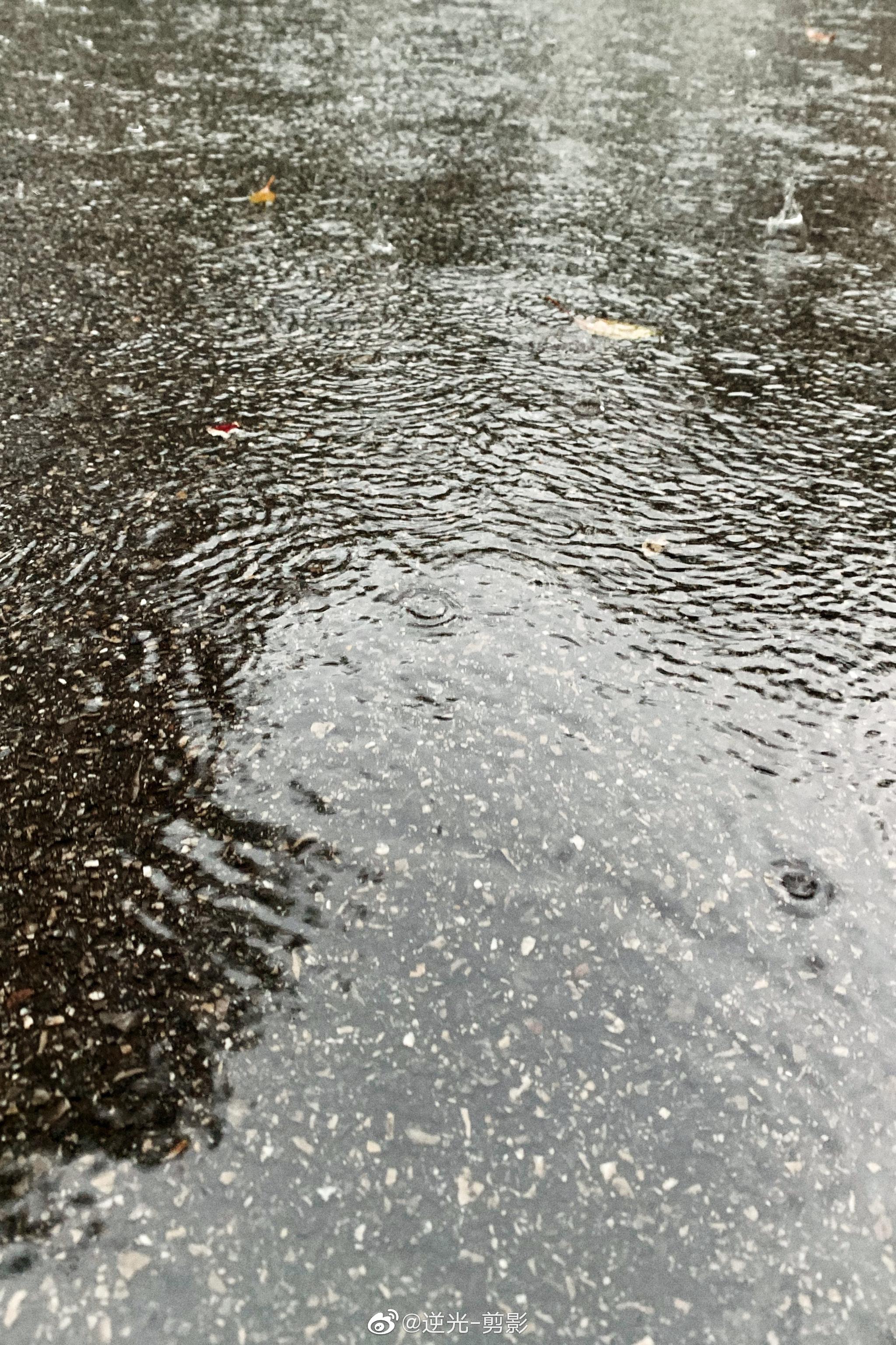 好久不见的大雨