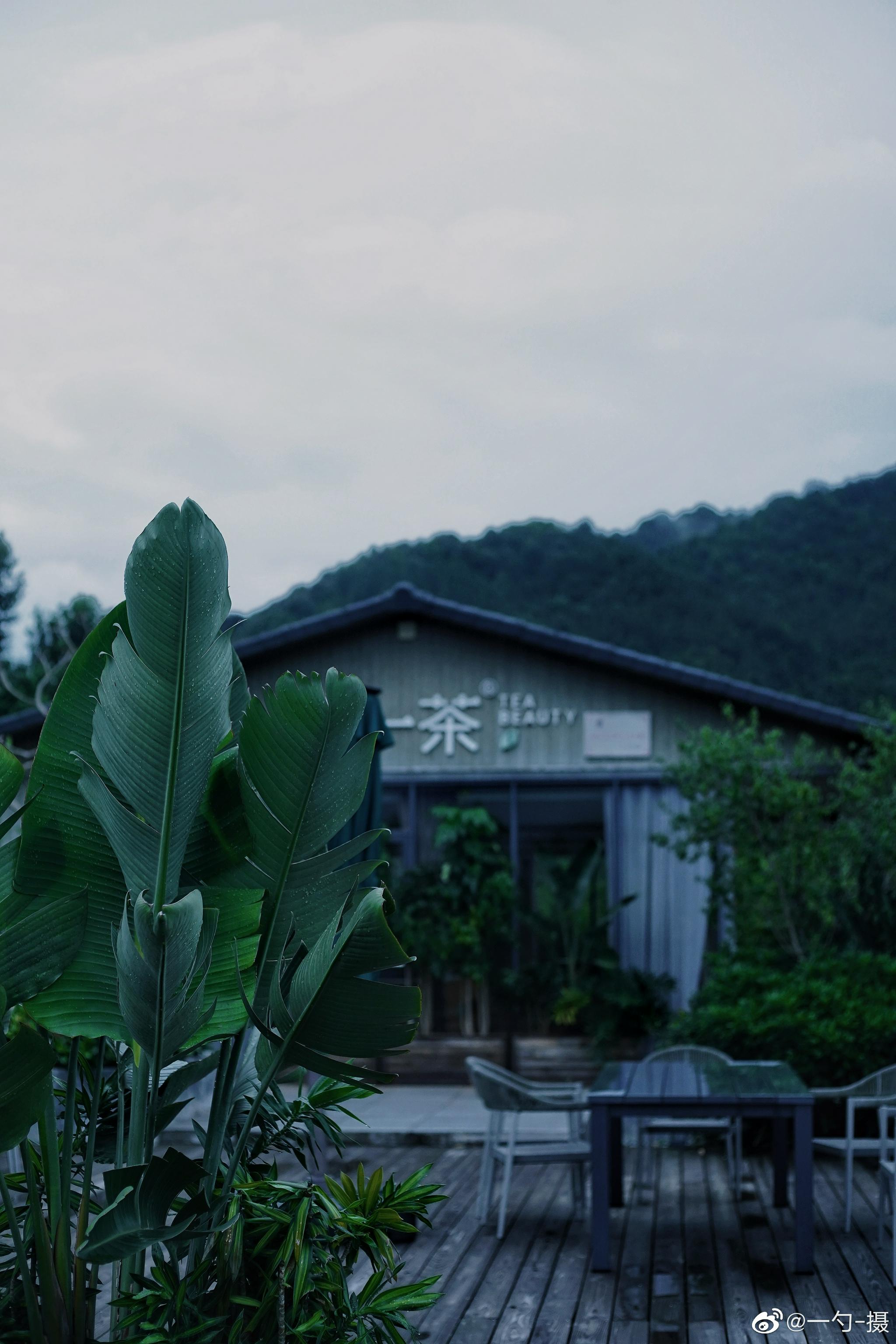 安溪云岭茶庄园 福建周边游 厦门周边游__财经头条