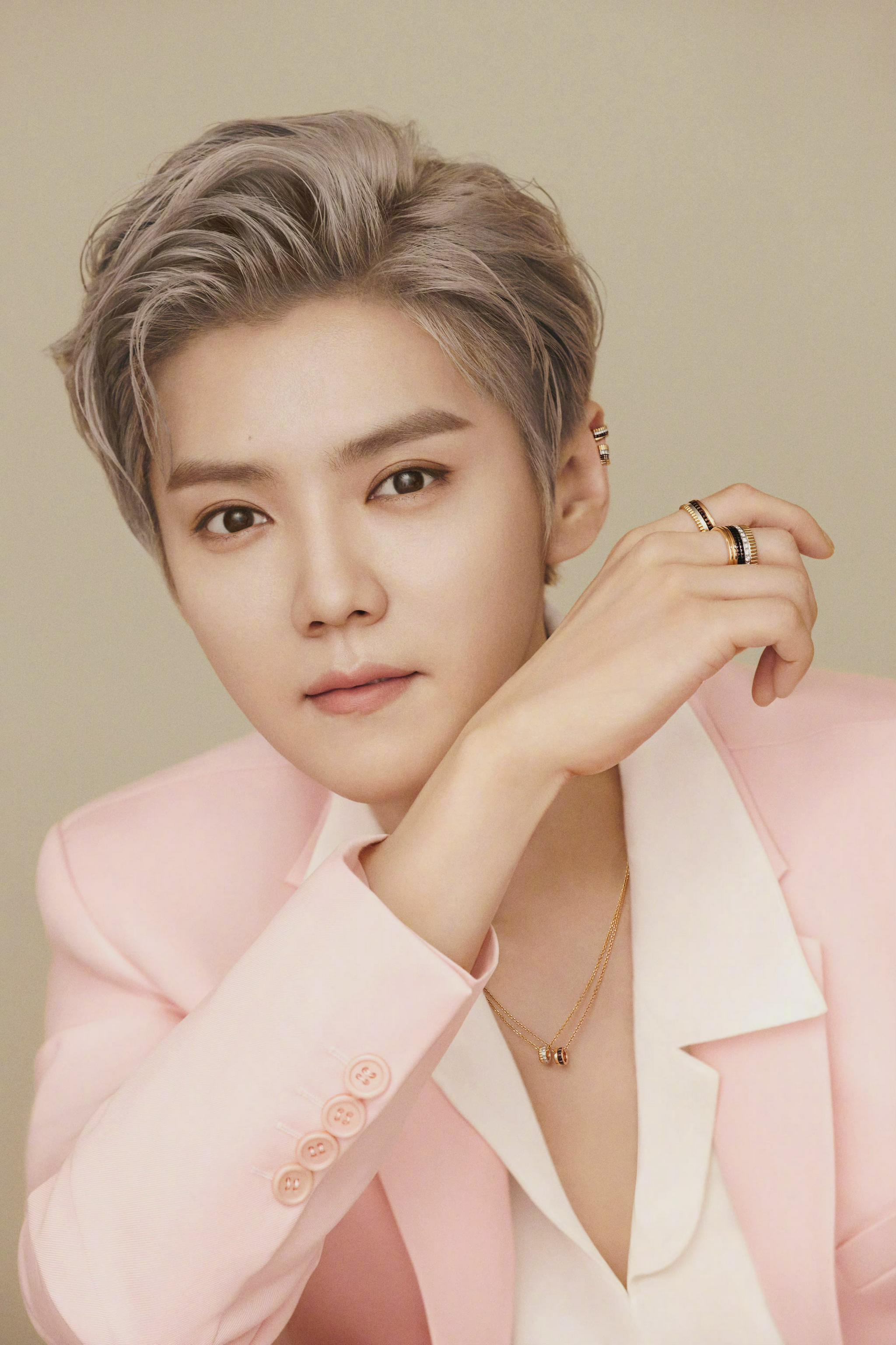 宣布成为品牌代言人……|品牌代言人|鹿晗_新浪新闻