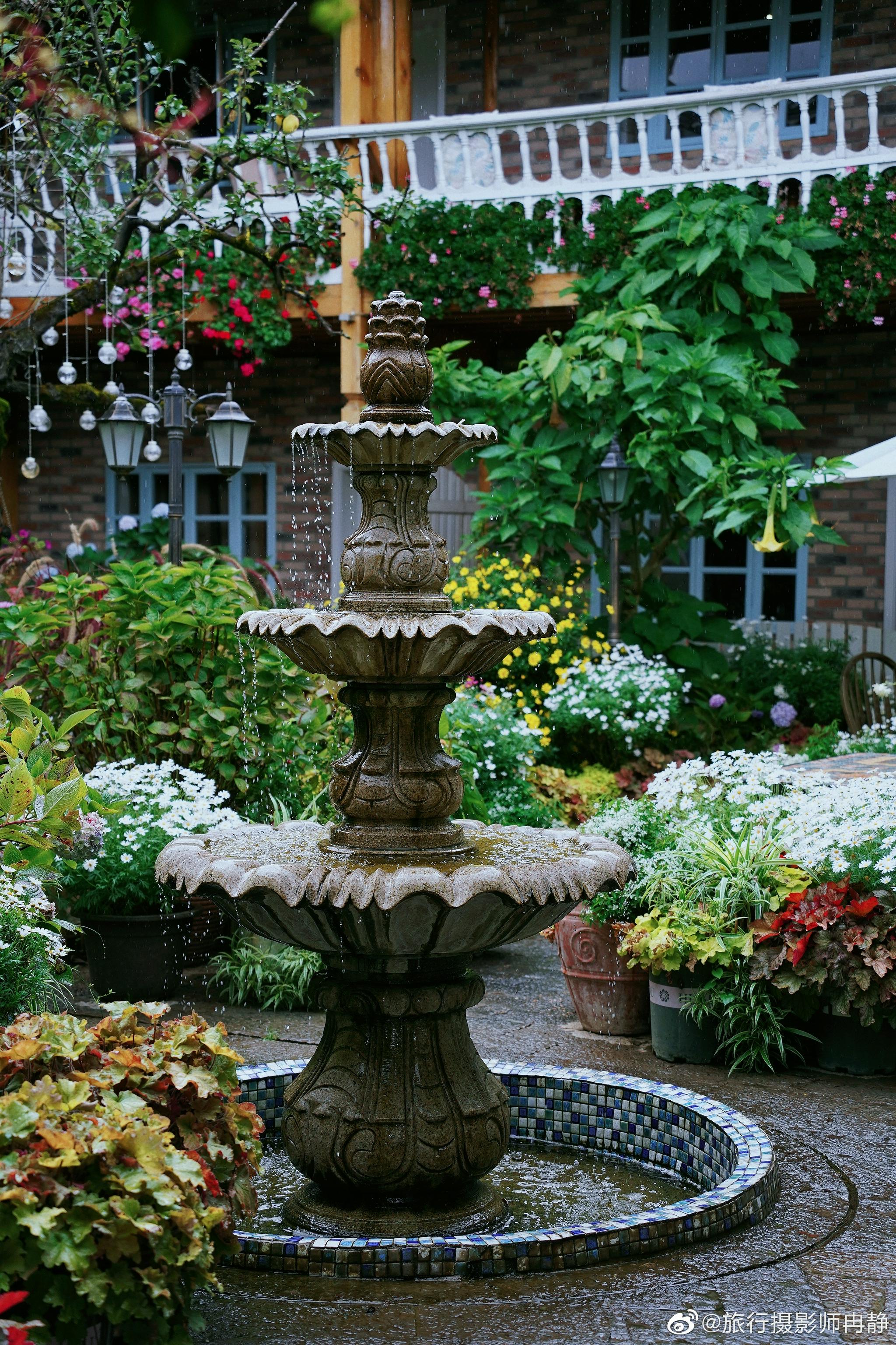 走进院子就是浪漫的花海 有种到了欧式庄园的错觉……_高清图集_新浪