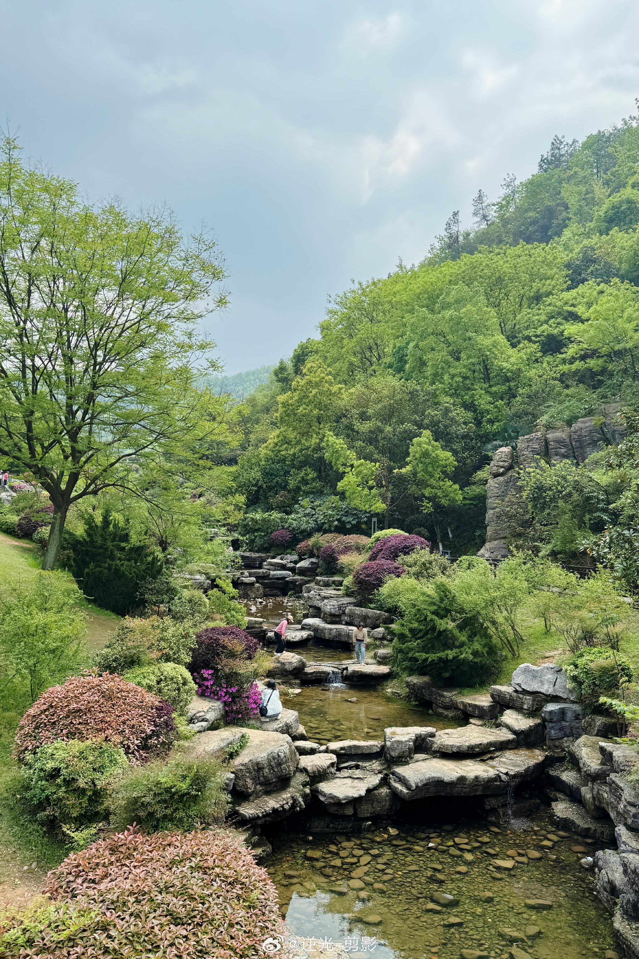 — 桃花岭公园真不错,就是略远,没空午睡了