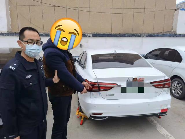 《一夜之间，石家庄一小区外7辆私家车被砸》后续：嫌疑人已被抓获，被盗财物全部追回休闲区蓝鸢梦想 - Www.slyday.coM