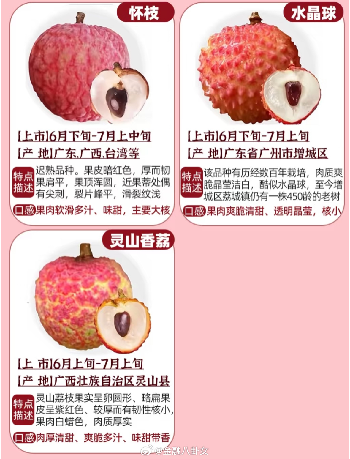 一分钟认识荔枝品种合集_新浪新闻