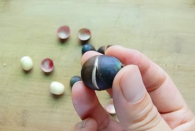 孩子嘴里出现肿块:湘雅医院诊断肿瘤,省医院棉签一拨去掉莲子壳休闲区蓝鸢梦想 - Www.slyday.coM 孩子嘴里出现肿块:湘雅医院诊断肿瘤,省医院棉签一拨去掉莲子壳休闲区蓝鸢梦想 - Www.slyday.coM