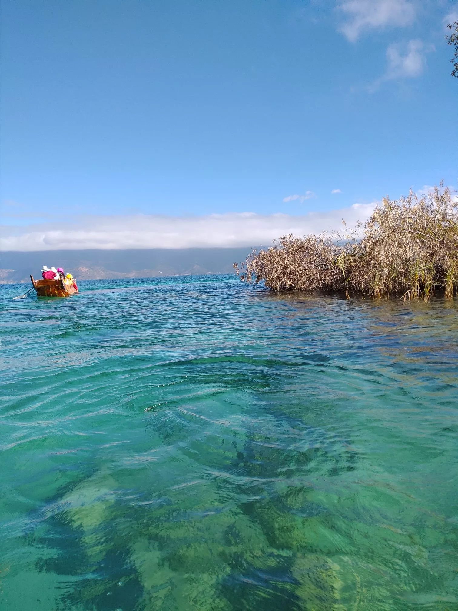 今天的泸沽湖真是太美了