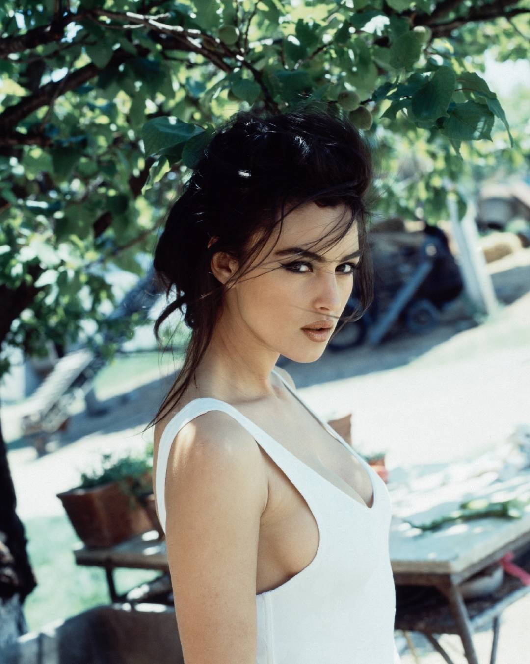 莫妮卡贝鲁奇__财经头条