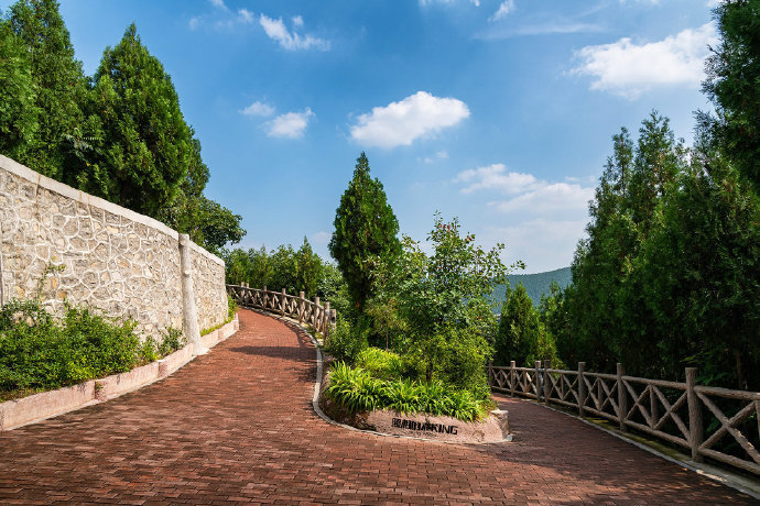 郎茂山公园位于济南市市中区,植被茂密,环境宜人