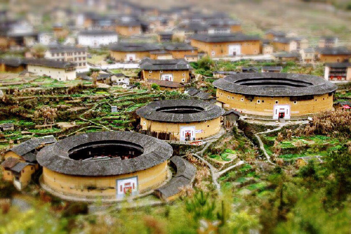 永定土楼犹如一朵朵奇异的花朵永远不会凋谢