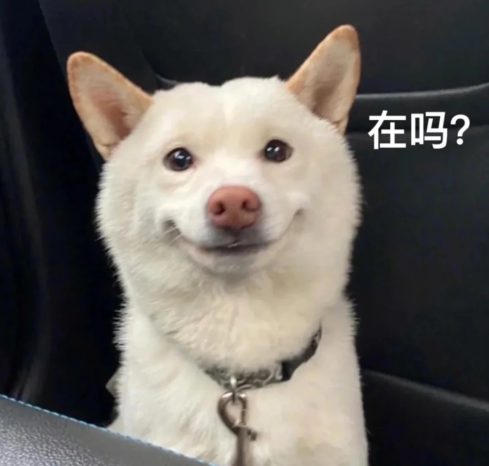 好多可爱有趣的表情包