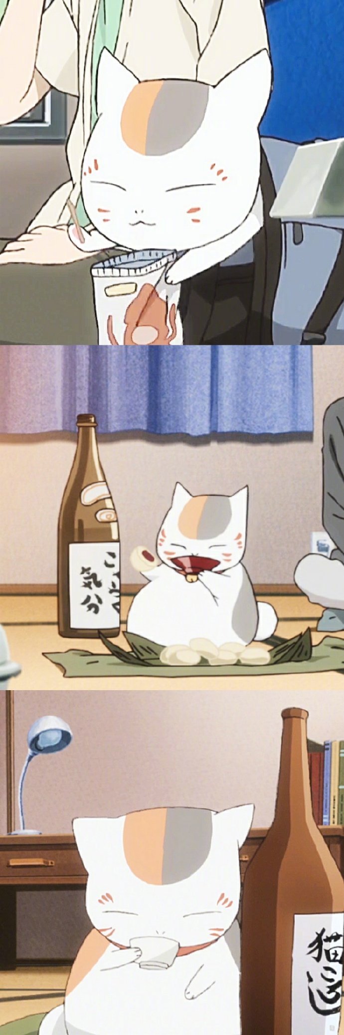 夏目友人帐里的娘口三三活捉一只贱萌贪吃的喵星人