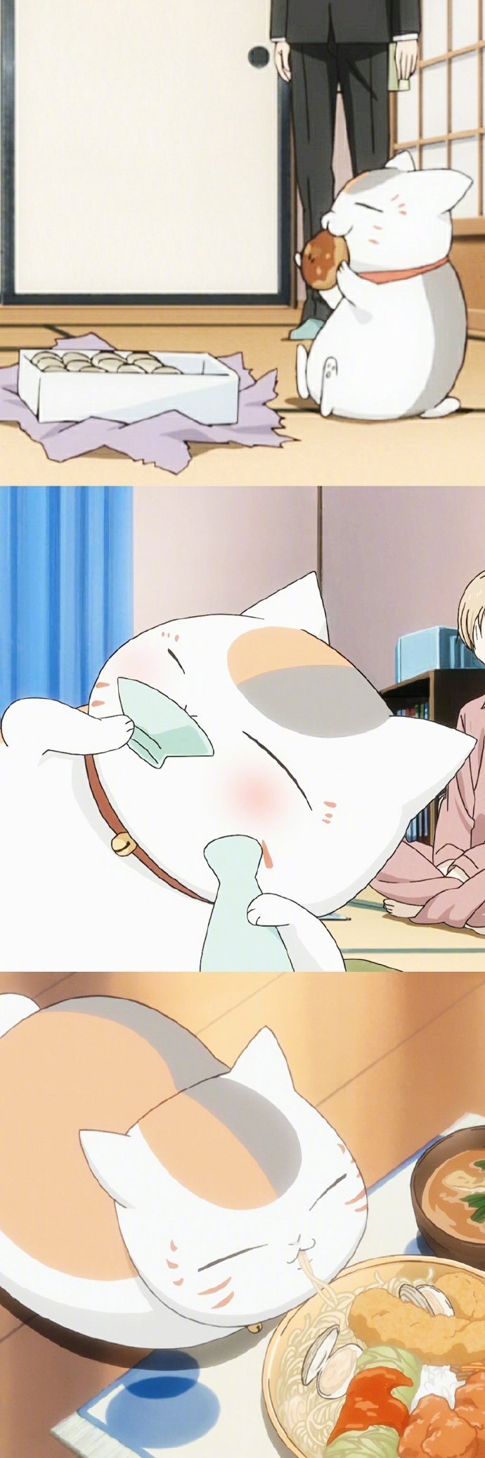 夏目友人帐里的娘口三三活捉一只贱萌贪吃的喵星人