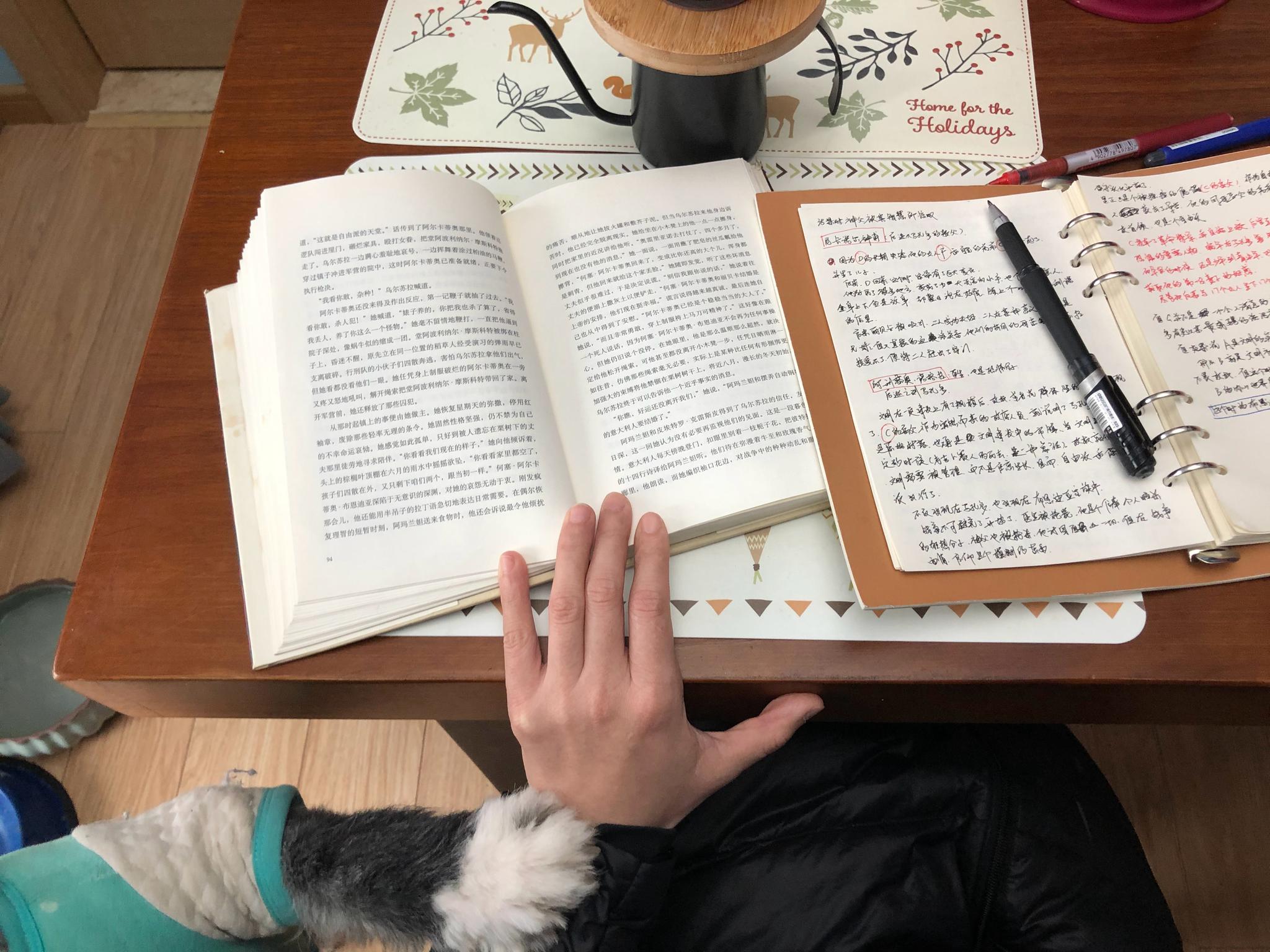 上午吃过早餐后,就一直在看书,并做笔记.由于书中人物关系复杂