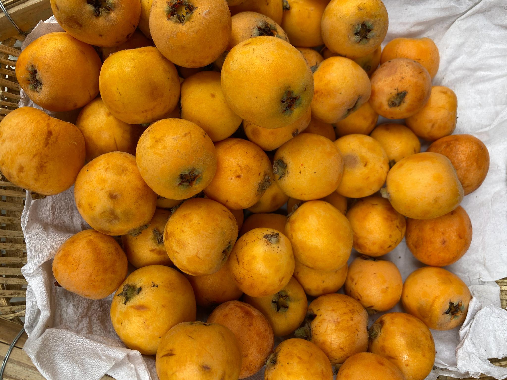 前几天在甘孜买的枇杷,个头不算大,外形不好看,但很好吃_高清图集