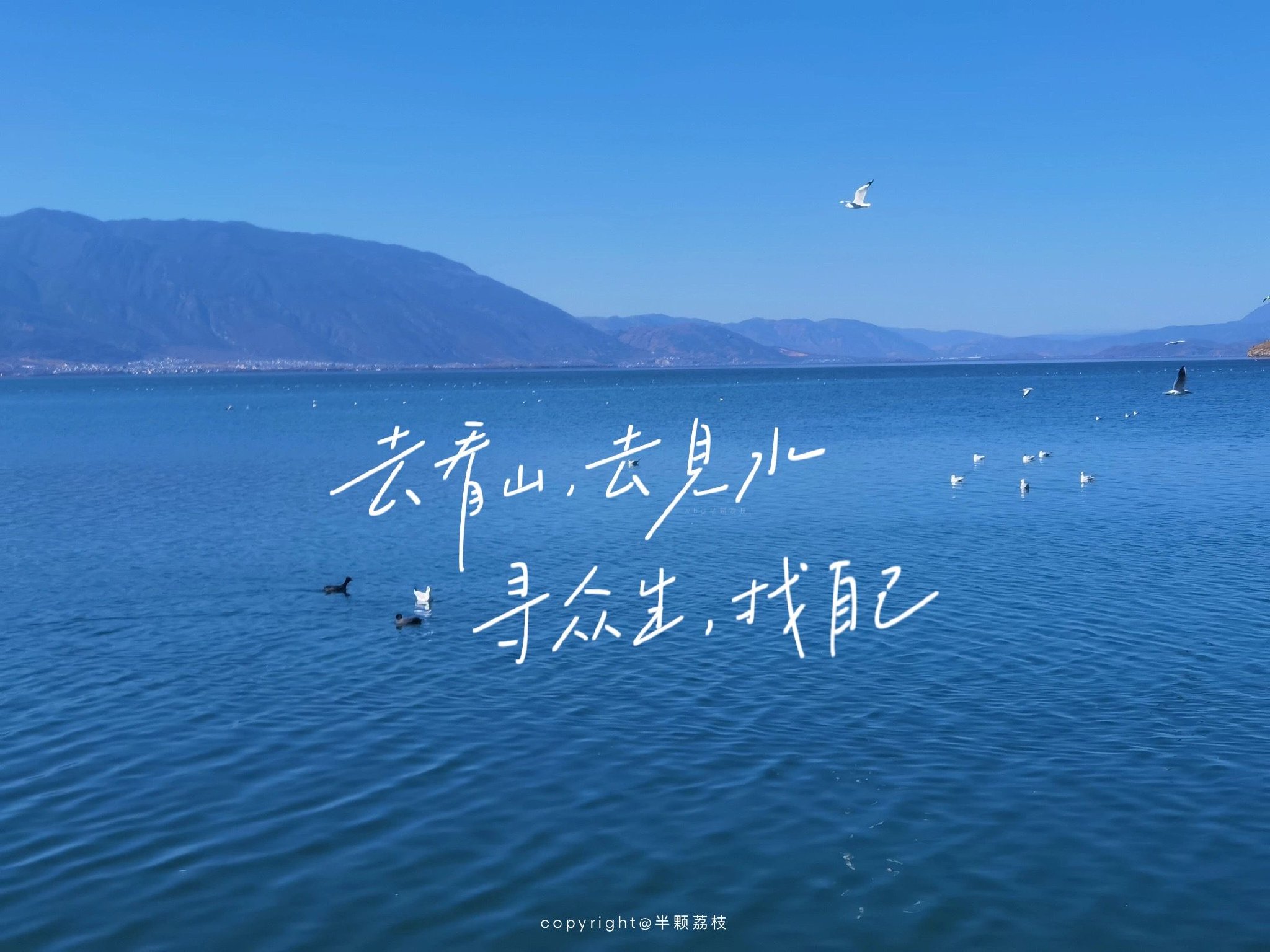 好喜欢这组蓝色ipad电脑壁纸