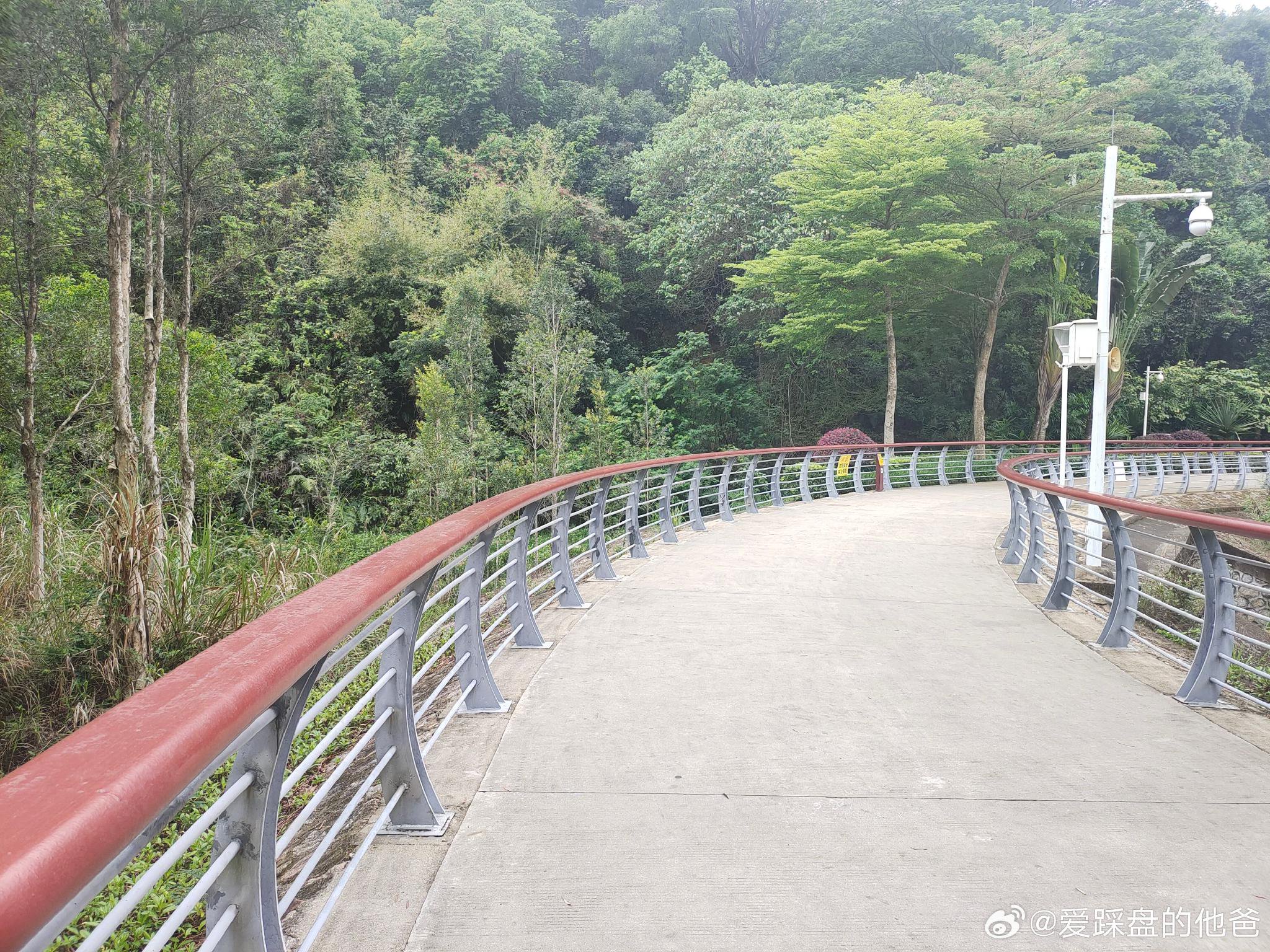 绕着南坑水库走了一圈|南坑水库_新浪新闻