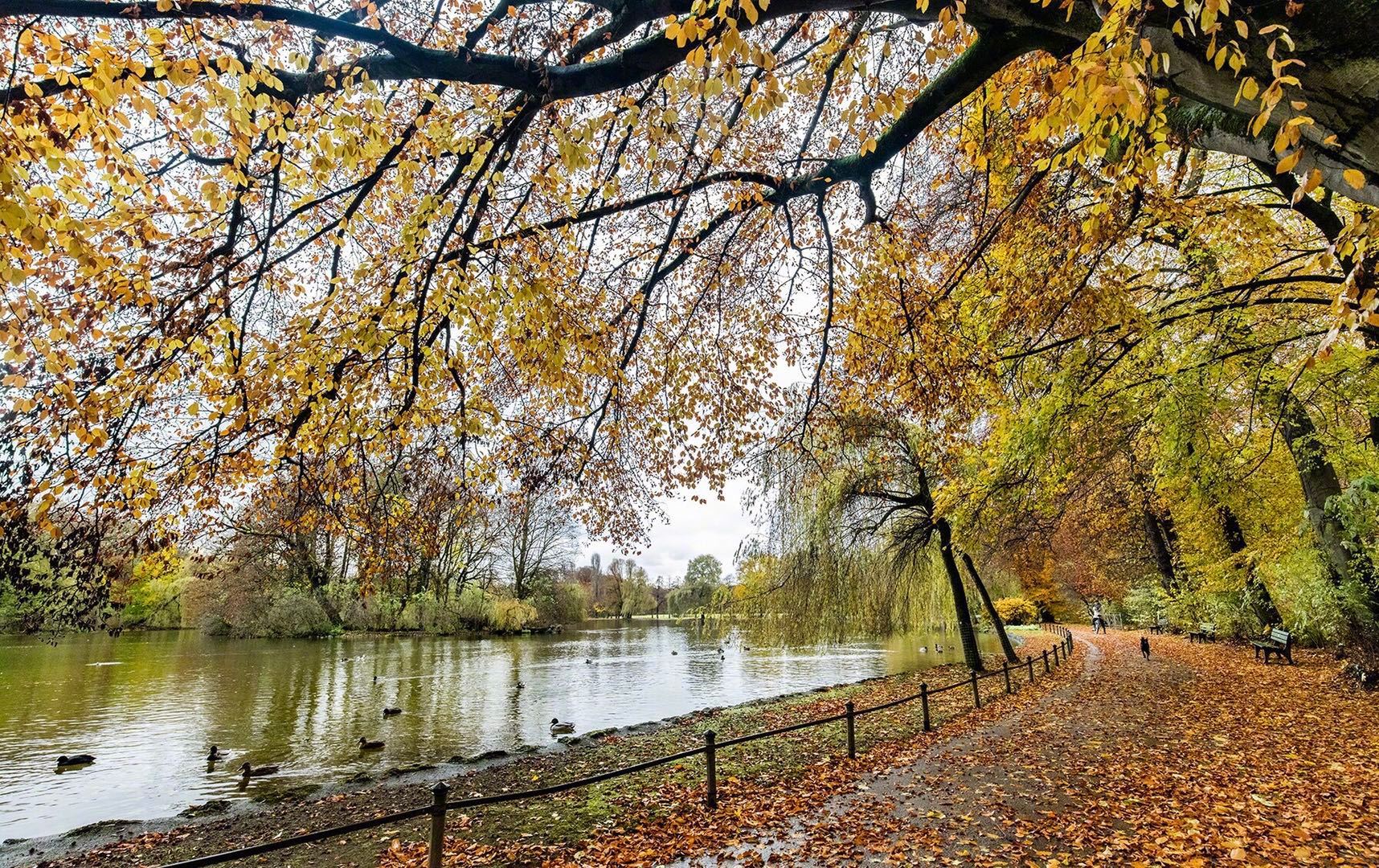 慕尼黑英国花园丨位于伊萨尔河畔