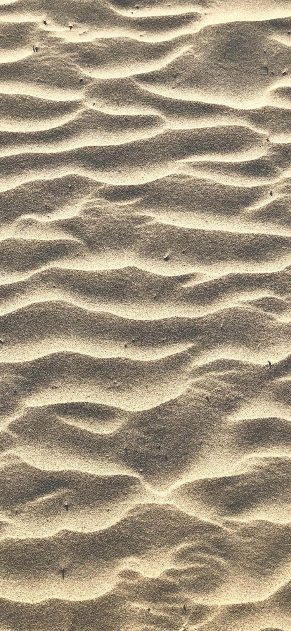 色系壁纸 58 杏色_高清图集_新浪网