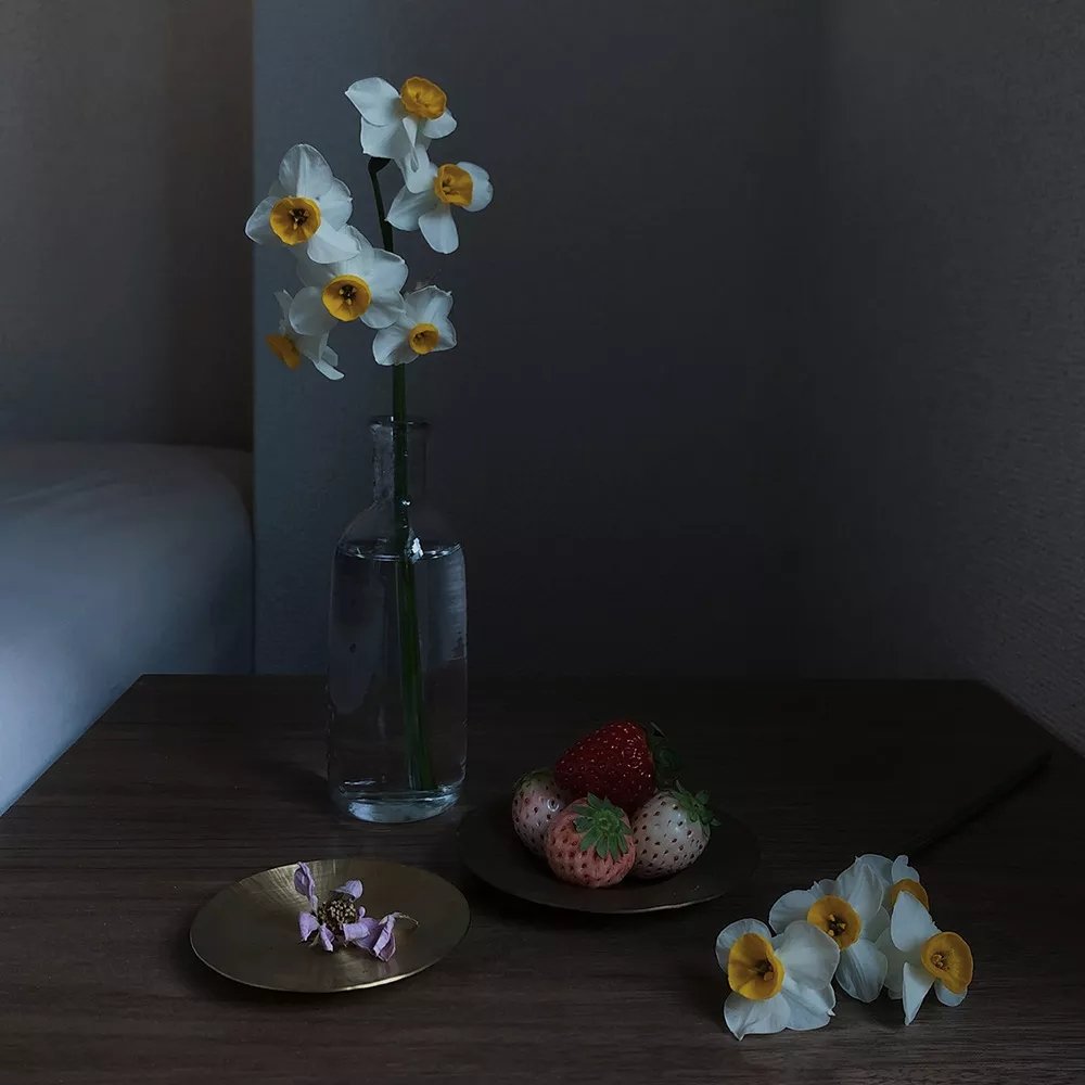 午后光影 给花果加上静物画的滤镜 午后光影 给花果加上静物画的滤镜