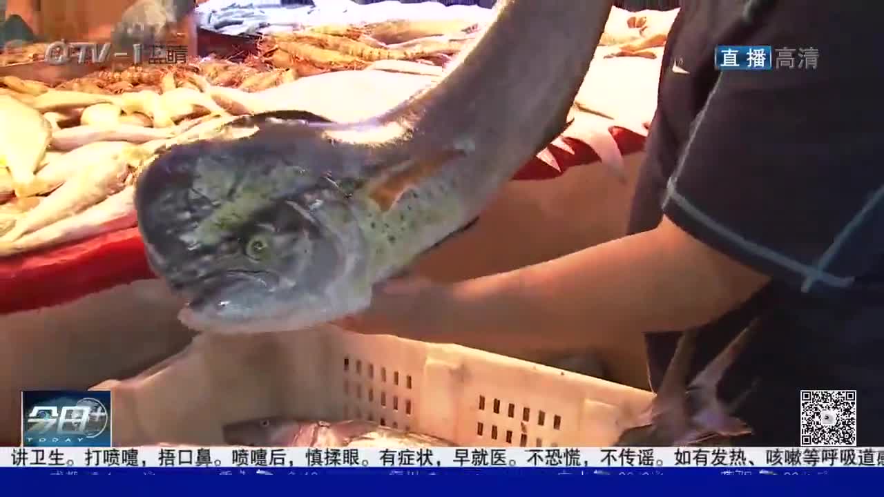 青岛海鲜市场现大鱼 这么多海鲜 你最pick哪个