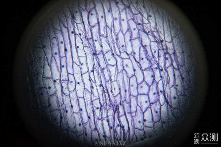 破壁机不会选显微镜告诉你
