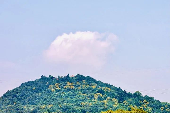 “番茄炒蛋”来了!杭州发布暴雨+雷电黄色预警,余杭发布冰雹橙色预警,此刻正在下大雨休闲区蓝鸢梦想 - Www.slyday.coM “番茄炒蛋”来了!杭州发布暴雨+雷电黄色预警,余杭发布冰雹橙色预警,此刻正在下大雨休闲区蓝鸢梦想 - Www.slyday.coM