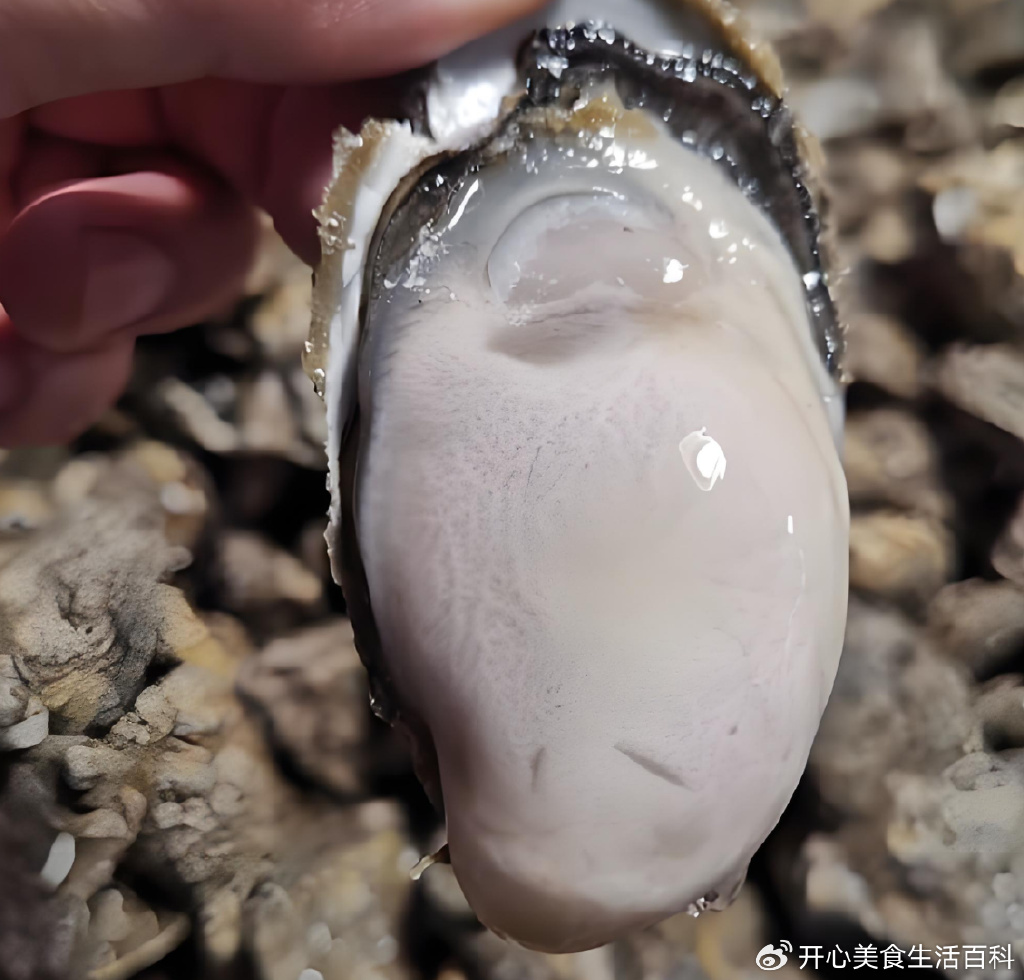 生蚝这样做才够味,10种吃法换着来,日子过得有滋有味