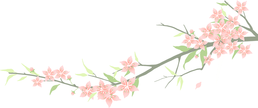 丹阳占地超1000亩花海 免费开放 走 赏花去 花海 大同市 新浪新闻