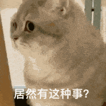 追光休闲区蓝鸢梦想 - Www.slyday.coM