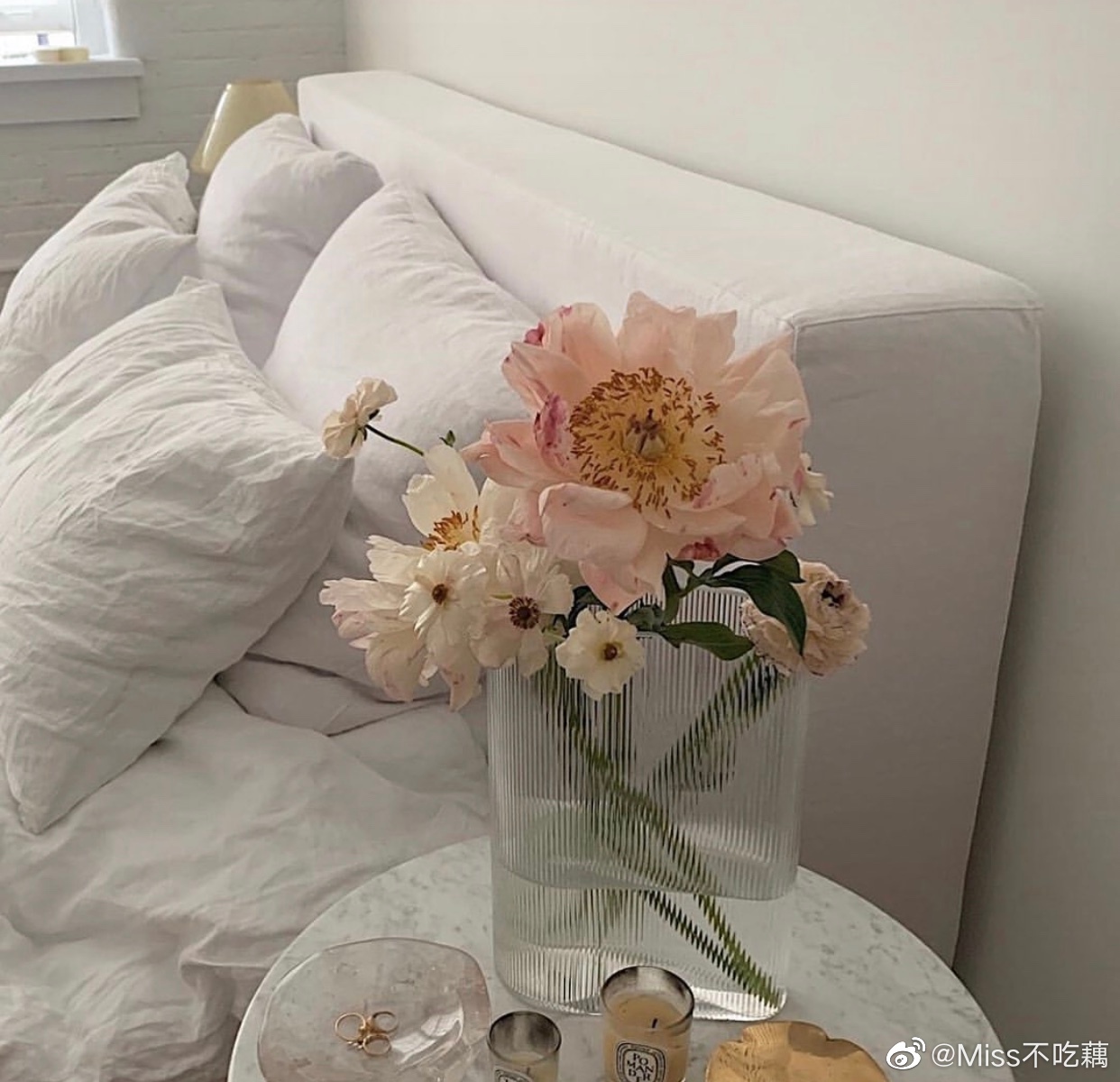 日常锦鲤万物复苏的春天 开启四月好运 壁纸分享