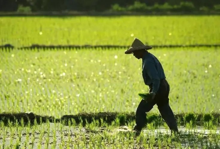鸣镝｜这届年轻人，为什么选择当“绿领”？休闲区蓝鸢梦想 - Www.slyday.coM