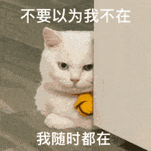追光休闲区蓝鸢梦想 - Www.slyday.coM