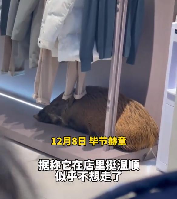 探索毕节男装新潮流