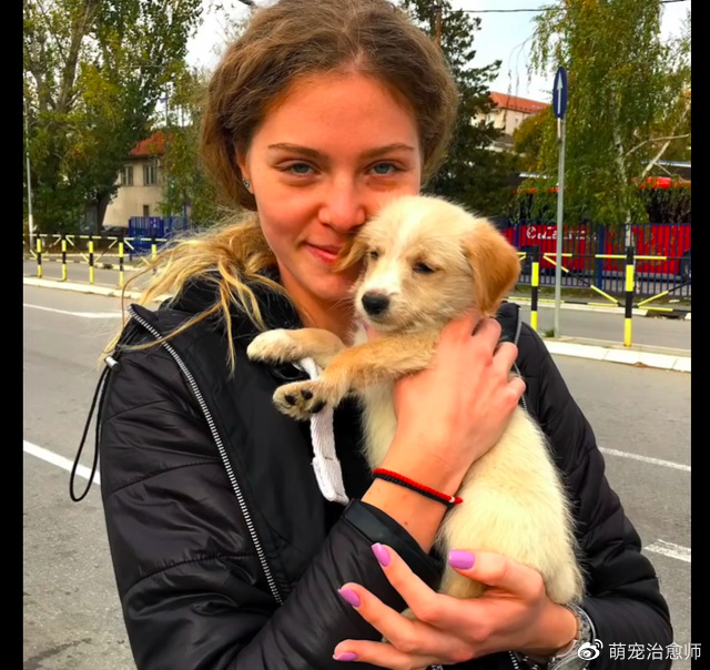 女子当着狗妈妈的面，将一箱子的小狗遗弃了，它们个个胖乎乎的！休闲区蓝鸢梦想 - Www.slyday.coM