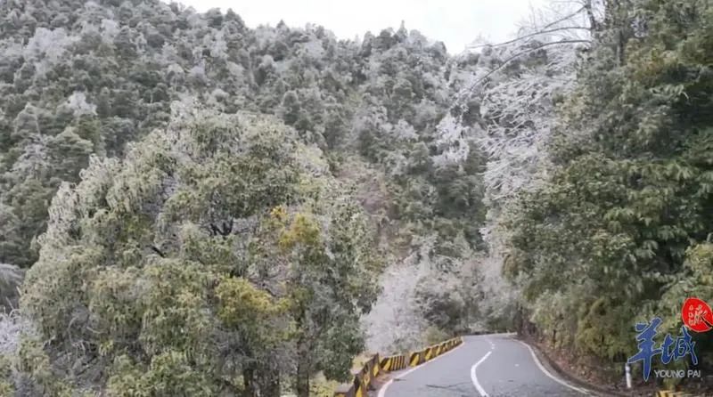 “广州下雪了”？！最新回应来了休闲区蓝鸢梦想 - Www.slyday.coM